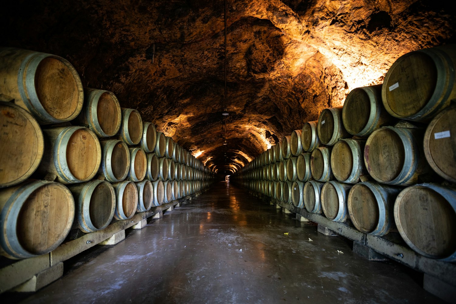Rows of oak barrels ageing red wine in a Mendoza cellar
