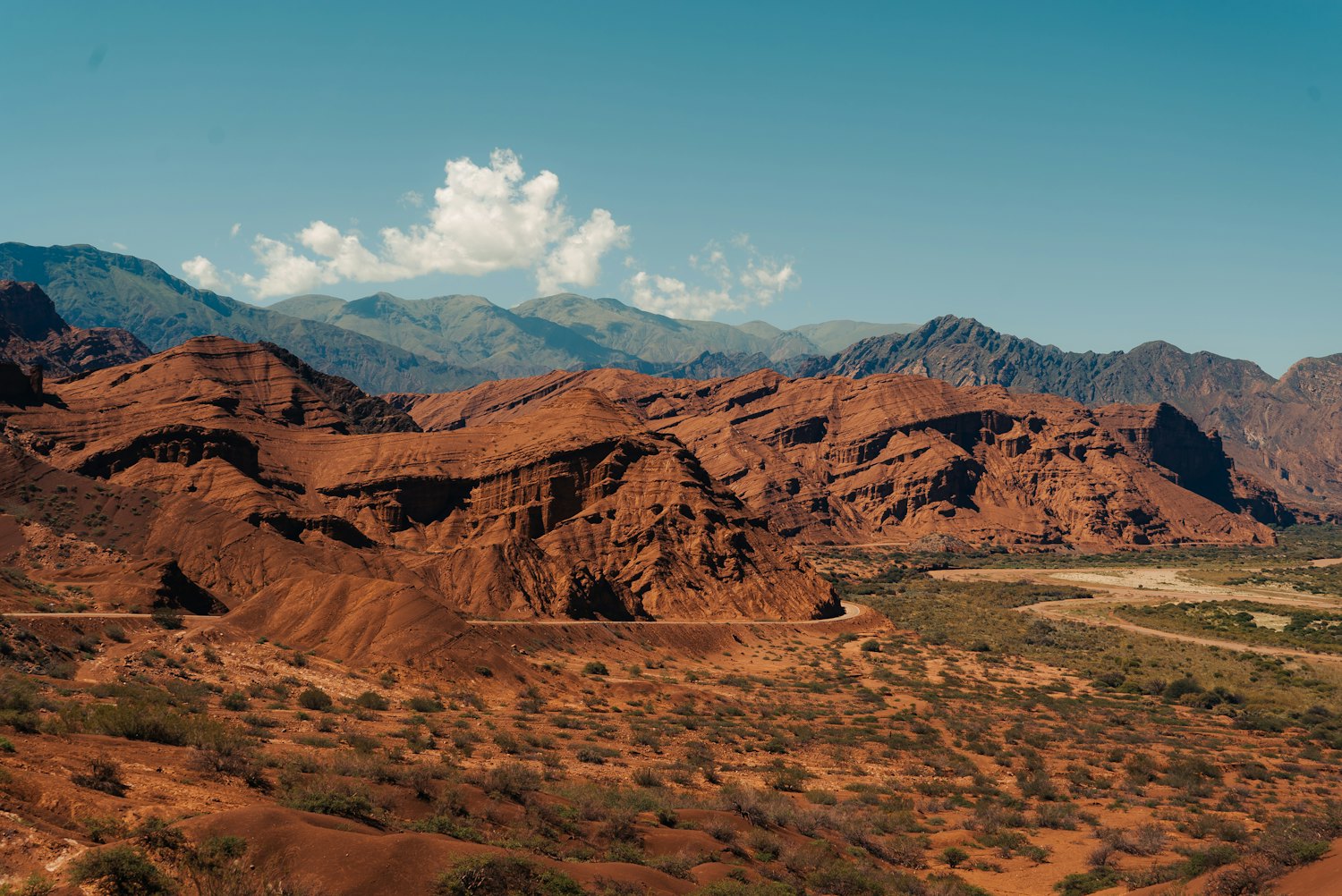 Golden Torrontés clusters in Salta's Calchaquí Valleys