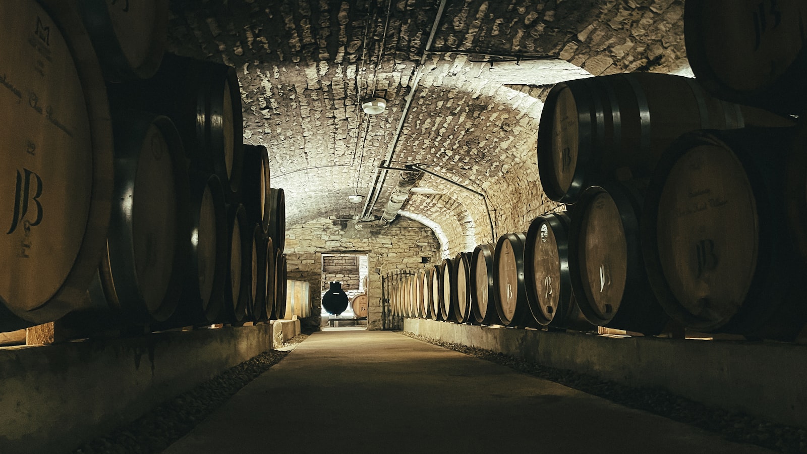Barrels in a winery cellar