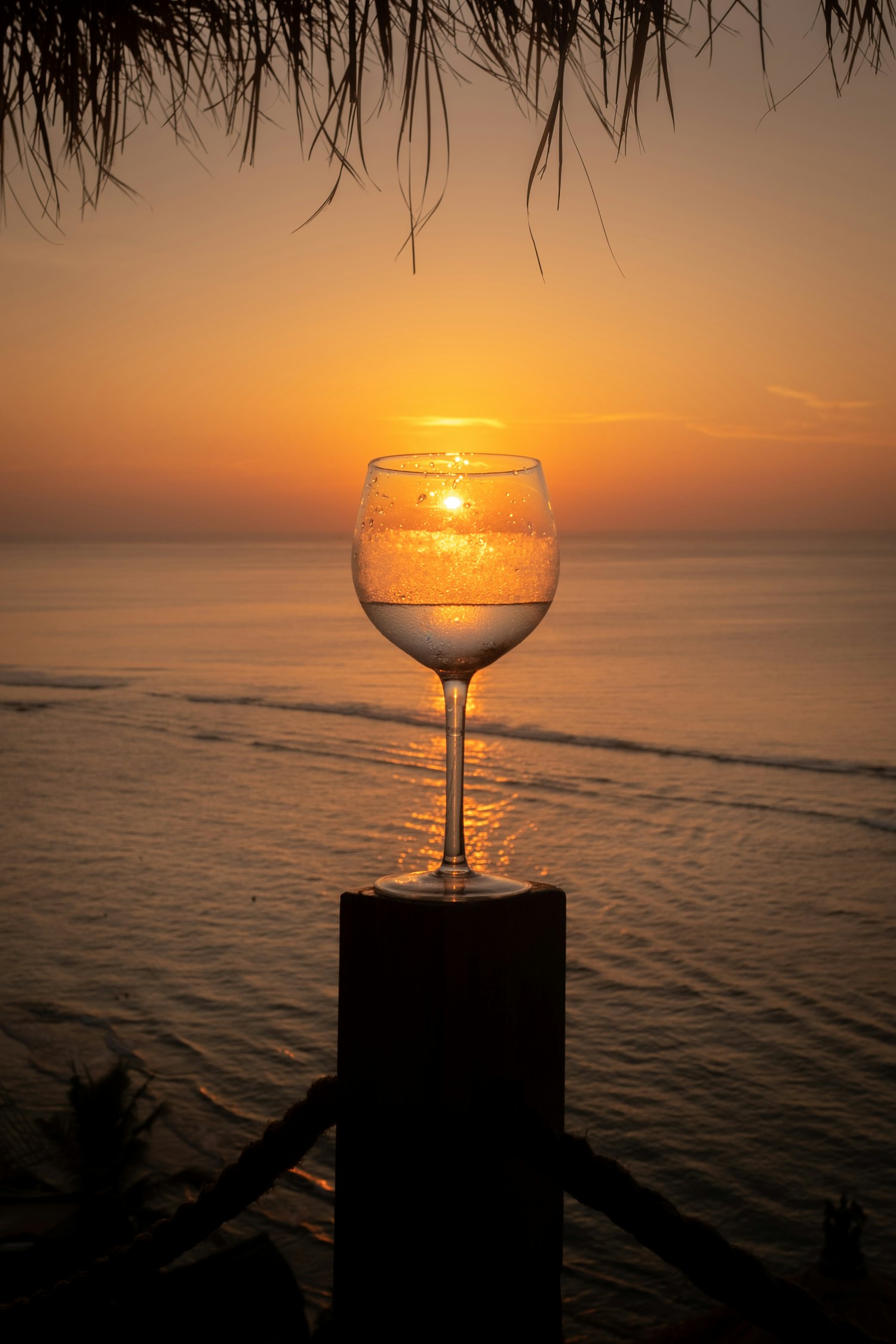 A glass of golden Torrontés in warm afternoon light