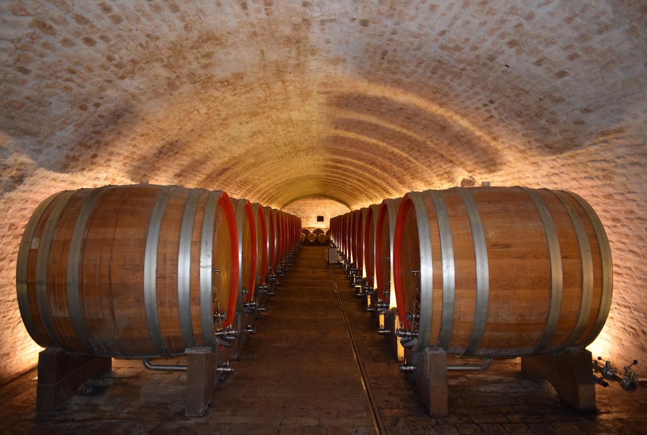 A long vaulted cellar tunnel lined with rows of oak barrels